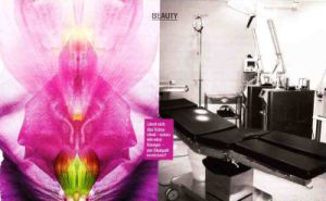 labio-1-velky