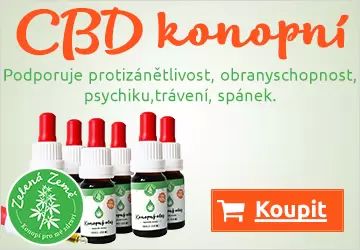 CBD konopi