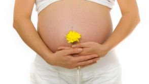 Power Plate představuje efektivní program pro posílení pánevního dna a rychlý návrat do kondice po porodu 